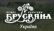 Ежевика Оркан