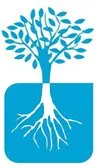 Грінфорт Стар (флудиоксонил 18,75 г/л + ципроконазал 6,25 г/л)